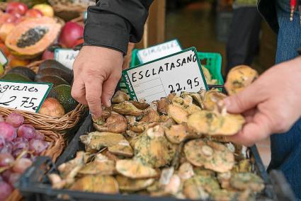 Als mercats ja es poden trobar esclata-sangs de fora, a un preu d’uns 23 euros el quilo