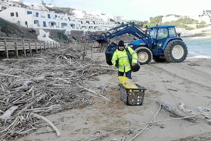 Puesta a punto de la playa de Arenal d’en Castell por Semana Santa