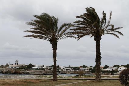 El viento alcanzó ayer los 72 kilómetros por hora