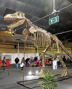 La que dicen es la exposición de dinosaurios más grande de Europa ocupa desde este sábado unos mil metros cuadrados del Recinte