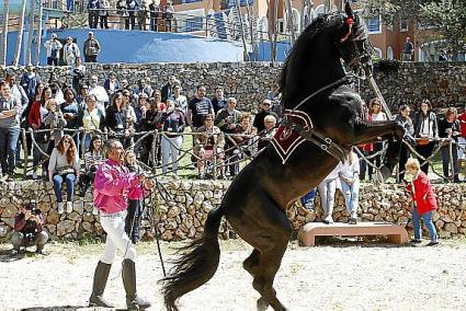 El grupo de agentes disfrutó de un espectáculo ecuestre, folclore, música y gastronomía antes de la excursión por la Isla