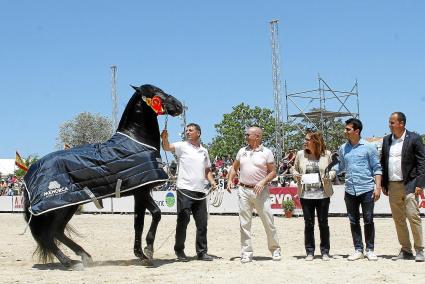 Brindis, amb el seu preparador, en el moment de rebre el premi que el distingeix com el millor exemplar d’aquesta Fira del Caval