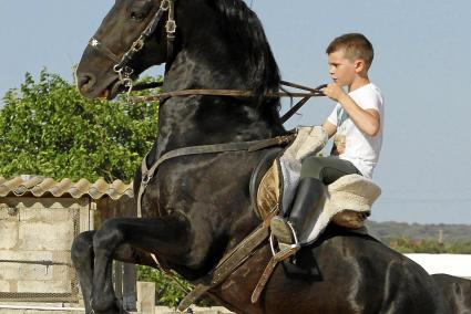 Segur a la sella. En Miquel qualcarà el matí de Sant Joan amb en «Cel», un cavall més vell que ell, de 12 anys