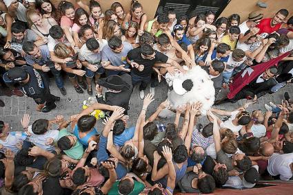 CIUTADELLA. FIESTAS PUEBLOS. festes de sant joan 2014 - dia des be -