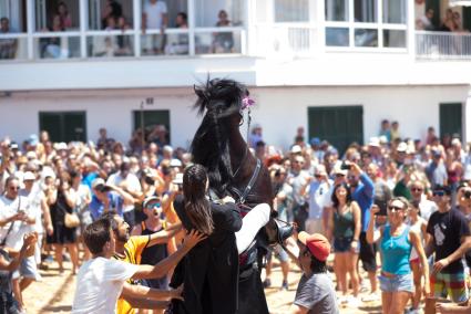 La plaça de s’Algaret de Fornells va ser l’escenari de bots, música i bulla per les festes en honor a Sant Antoni Abat