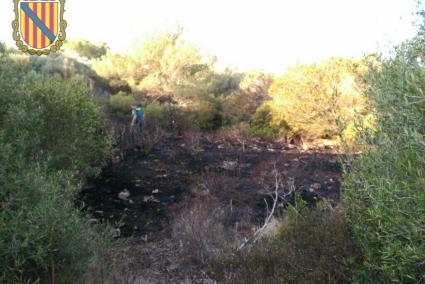 El fuego ha afectado una parcela de la urbanización