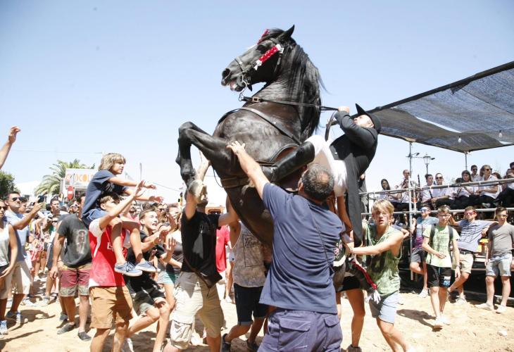 Los caballos han sido de nuevo los protagonistas de la jornada