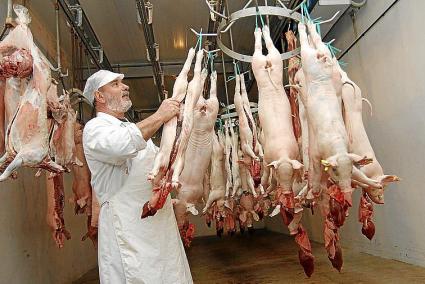 Cochinillos preparados para llevar a la carnicería