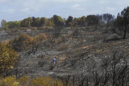 Así ha quedado la zona tras el incendio