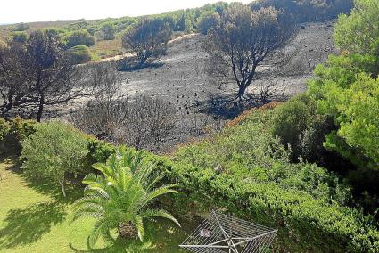 La parcela forestal de Punta Grossa donde se inició el incendio sobre las 2 de la madrugada, al final de la calle Torrol·lera en