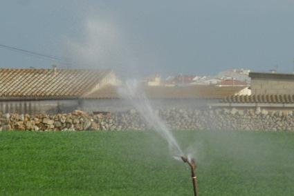 La organización ecologista ha resaltado la necesidad de establecer un control sobre los grandes regadíos agrarios que consumen a