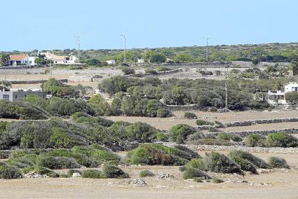 Más 100 de Ciutadella. A los 498 expedientes sin resolver se añadirán el centenar de casos que se tendrán que abrir en Ciutadell