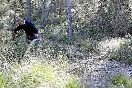 Les elevades temperatures i les pluges irregulars de l’últim mes dificulten el desenvolupament dels fongs