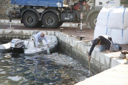 Menorca Es Castell Moll del Hospital trasllat material d'obre per S'