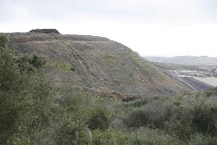 Aspecto de la zona este domingo por la mañana. El área quemada ha sido tapada por tierra