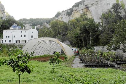 Conserven més de cent espècies d’arbres fruiters de l’Illa.