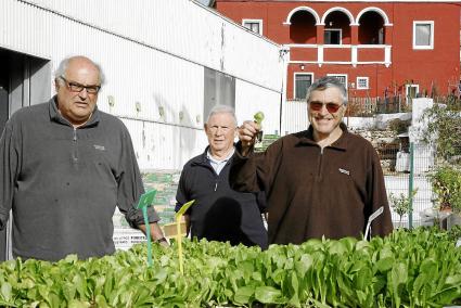 Alfonso, José i Miquel en el centro de jardinería, con su casa de color rojo al fondo