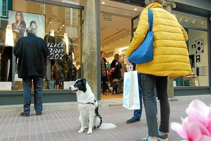 Las calles se llenaron ayer de buen ambiente para hacerse con algún capricho o incluso para avanzarse con las compras de Navidad