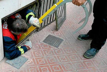 Un bombero penetra por la trampilla de un sótano para tratar de recuperar a un gato.