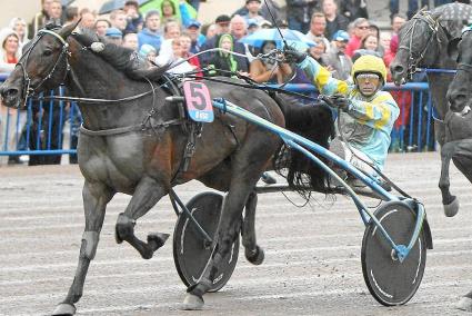 El caballo de Ciutadella, conducido por el malllorquín Biel Pou, durante un Grand Prix