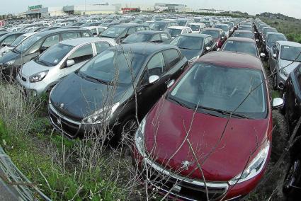 Los coches se acumulan estos días en el polígono industrial de maó a la espera de entrar en servicio en los próximos días.