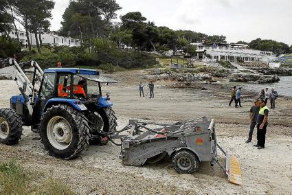 Un tractor actuando en la playa de Cala Blanca (Ciutadella), el mediodía de este miércoles