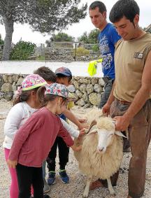 Els alumnes de l’escoleta es Poriol de Ciutadella han tingut l’oportunitat de veure i tocar l’anyell escollit per a sortir engua