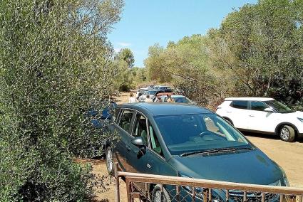 La imagen –captada el pasado domingo– muestra como los terrenos fueron literalmente invadidos por los coches de los turistas