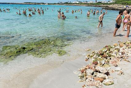 Los usuarios de la playa han retirado del agua numerosas rocas