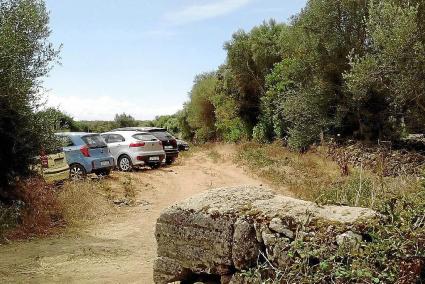 Decenas de coches invadieron durante este viernes una' tanca' cercana a la playa de Cala en Turqueta