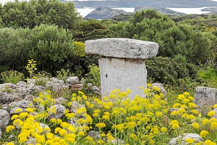 Icomos apuesta por proteger al máximo el paisaje que rodea los monumentos talayóticos