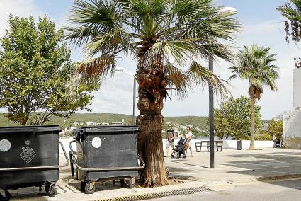 La intención del actual equipo de gobierno municipal de Maó es avanzar en la retirada de los contenedores de las calles