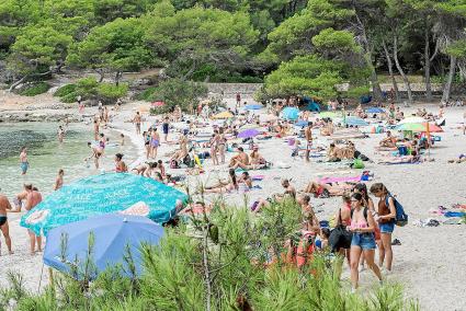 Macarella se ha convertido durante los últimos años en una de las playas más visitadas de toda Menorca durante el verano