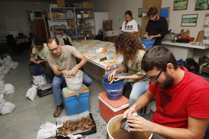 Voluntarios trabajando con los materiales encontrados este verano en Torre d’en Galmés