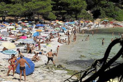 El año pasado se contabilizaron 385 bañistas que coincidieron en Macarella en el mismo momento cuando en 2016 la cifra rozó los