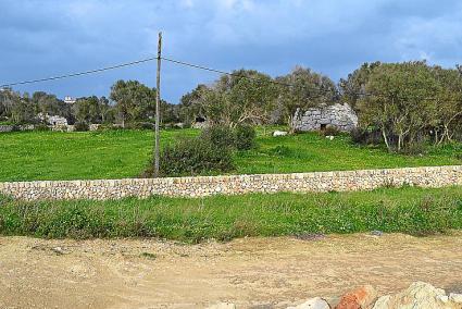 Imagen de la naveta de Rafal Rubí, desde la carretera general