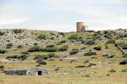 Imagen del predio de Torre del Ram con la Talaia de Bajolí al fondo