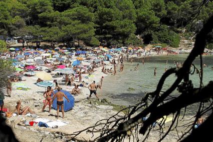 CIUTADELLA - PLAYAS - PLAYA DE CALA MACARELLA .