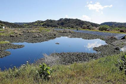 El Ayuntamiento confía que a partir de 2019 pueda ejecutar el proyecto de restitución de la zona.