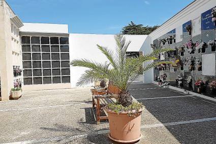 Imagen reciente de uno de los espacios del cementerio de Maó