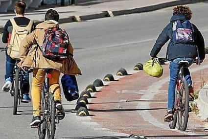 El ciclista ha topado con una de las "tortugas" (separadores de plástico del carril bici) como las de la imagen