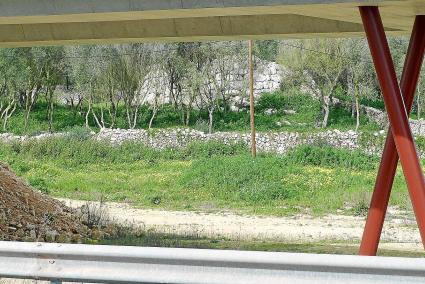 Vista de las navetas a través de la estructura del puente de la rotonda que debe construirse en el enlace Rafal Rubí.