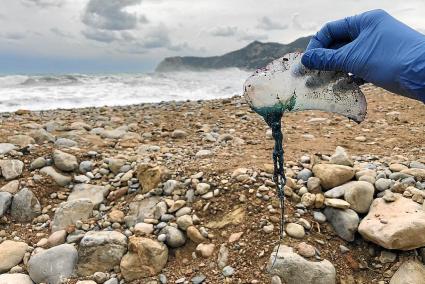 Imagen de una de las seis carabelas portuguesas localizadas en Es Torrent, en Eivissa, el pasado mes de abril