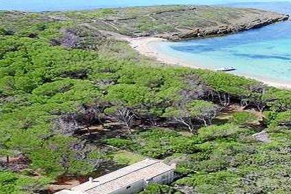 La Illa d’en Colom tiene 58 hectáreas y forma parte del parque natural de S’Albufera