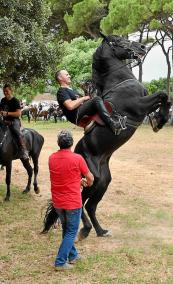 La trobada de cavalls i cavallers viscuda ahir a Can Valeriano suposa ja el vintè replec que organitza aquest empresari