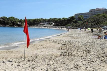 Imagen de archivo de la playa del Arenal d’en Castell, que se tuvo que cerrar dos días al baño