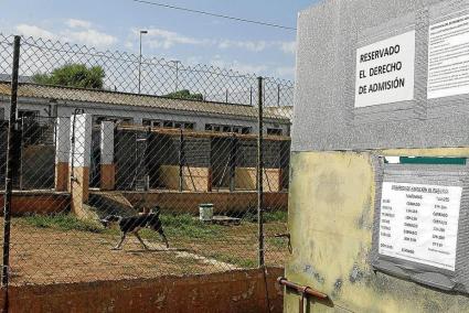 El cartel que avisa del acceso restringido, esate martes en la puerta del refugio de animales de Maó