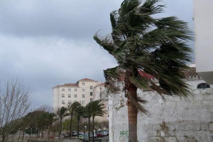 El viento puede alcanzar los 80 km/h