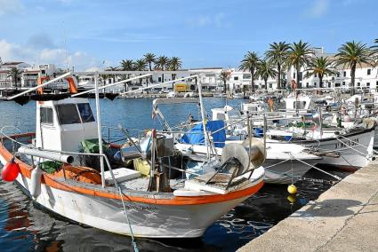 Imagen de embarcaciones de pesca profesional en el puerto de Fornells.