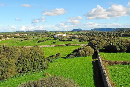 El nuevo PTI busca frenar la especulación siguiendo la recomendación del GOB y el Colegio de Arquitectos